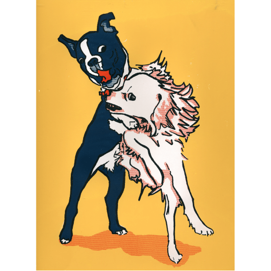 Poster of boston terrier and chihuahua puppies fighting
