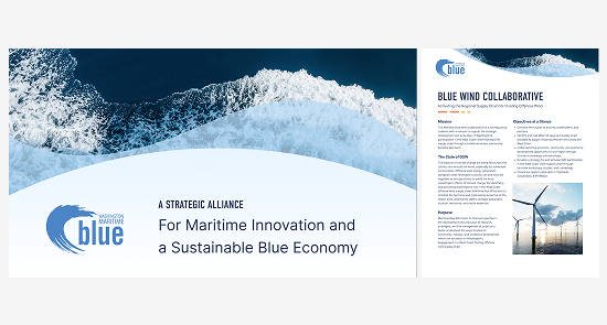 3 goodwill brand concepts